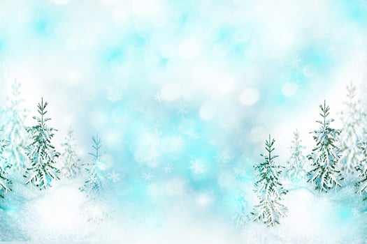 Frozen winter forest with snow covered trees. photo