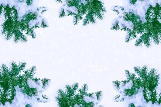 Frozen winter forest with snow covered trees. photo