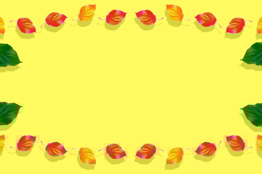 Bright colorful autumn leaves photo