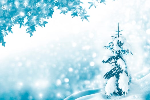 Festive Christmas background. photo