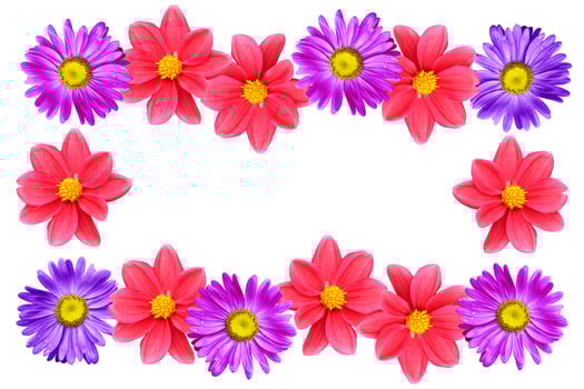 Natural floral background. Bright and colorful autumn flowers. photo