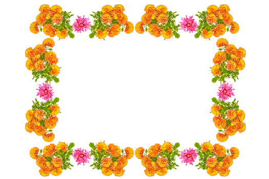 Colorful autumn flowers of chrysanthemum photo