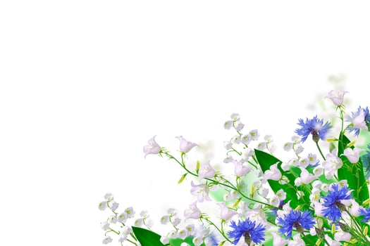 Bright colorful bell flower photo