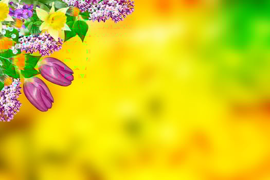 Bright and colorful flowers photo
