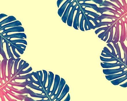 Floral background of green leaves photo