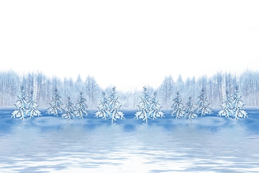Frozen winter forest with snow covered trees. photo