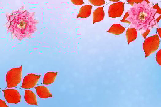 autumn landscape with bright colorful foliage. Indian summer. photo