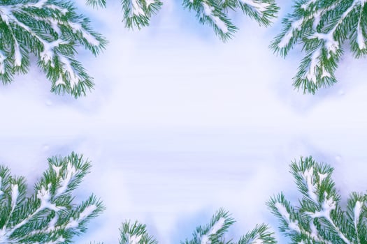 Frozen winter forest with snow covered trees. photo