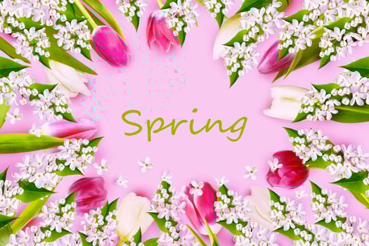 Top view tulips. Bright colorful spring flowers photo