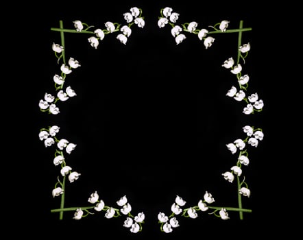 Lily of the valley flower on black  background. photo