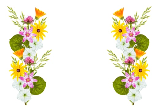 Floral background. Wildflowers isolated on a white background. Bouquet of flowers. photo