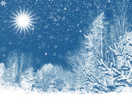 New Year card. Frozen winter forest with snow covered trees. photo