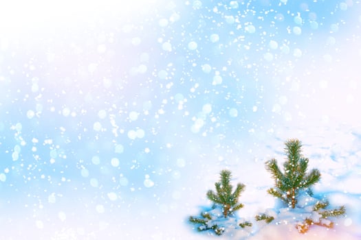 Frozen winter forest with snow covered trees. photo