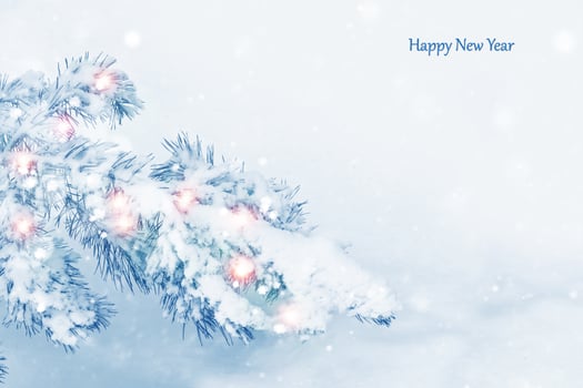 Christmas tree in the snow photo