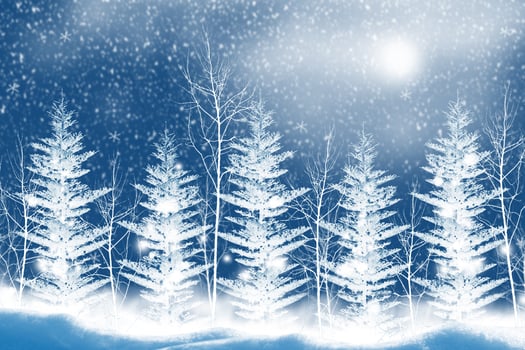 Frozen winter forest with snow covered trees. photo