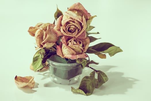 Dry rose flower.vintage tone photo