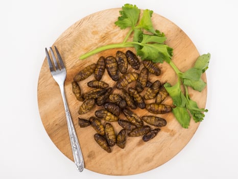 Fried insects. Protein rich food. photo