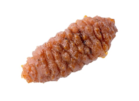 Beautiful sea cucumber seafood isolated on white background, clipping path, cut out, close up. photo