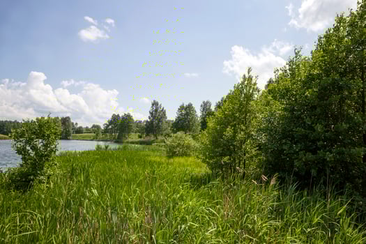 dirty water in a lake or river photo