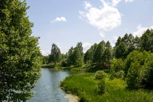dirty water in a lake or river photo