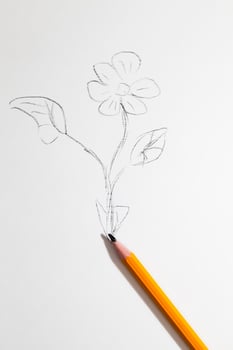 one flower drawn photo