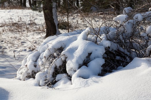 snow drifts in the winter season photo