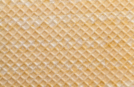 wheat waffles with a square pattern photo
