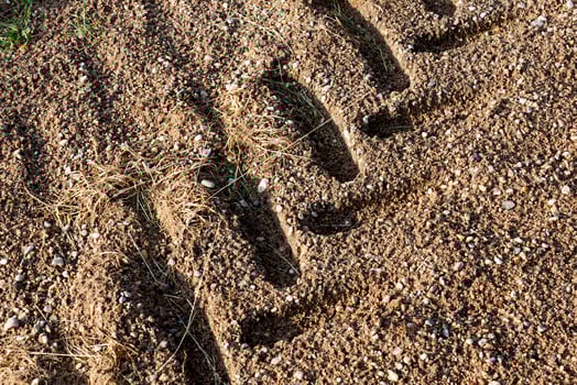 traces on the sand after rain photo