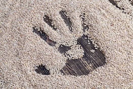 pearl barley for cooking porridge, made from barley photo