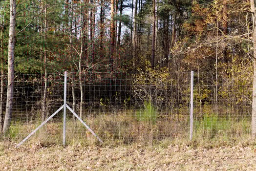 metal fences near the forest, which protect animals from the carriageway photo