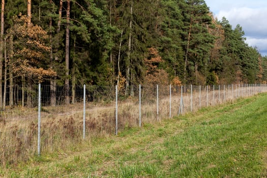 metal fences near the forest, which protect animals from the carriageway photo