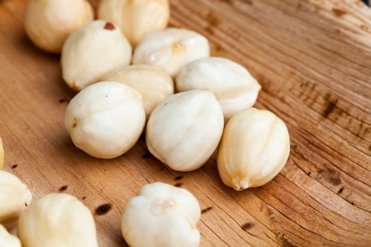 dried hazelnutsnuts on a wooden table photo