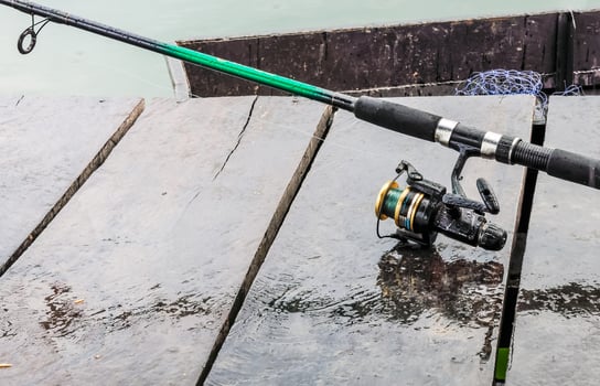 The Fishing stick photo