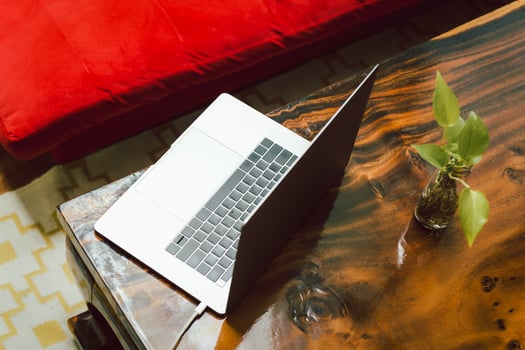 Top view of laptop with green plant on wooden table. photo