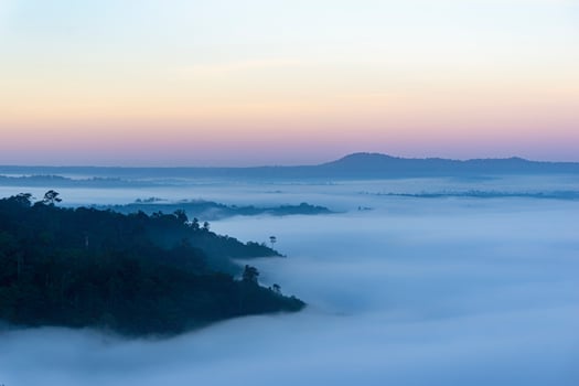 Mist. Cool atmosphere in the morning in the valley photo
