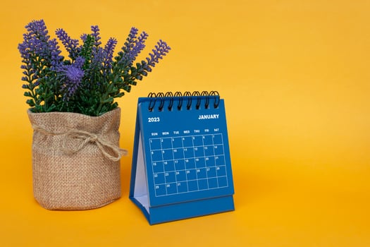 January 2023 desk calendar with potted plant on yellow background. photo