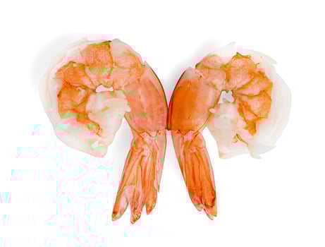 shrimp isolated on white background ,include clipping path photo