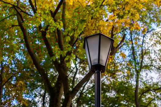 Street light in the park photo