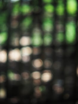 Bokeh blur background green forest photo