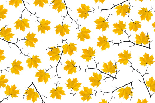 Bright colorful autumn leaves photo