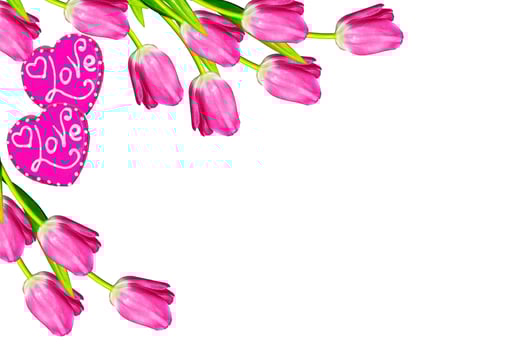 spring flowers tulips photo