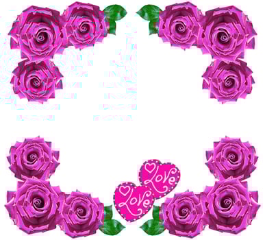 Flower bud roses on a white background photo