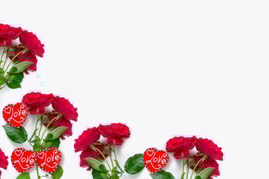Flower bud roses on a white background photo