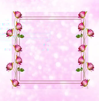 Natural background. flower buds of roses. photo