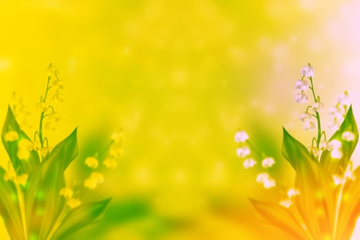 Spring landscape. flowers lily of the valley photo