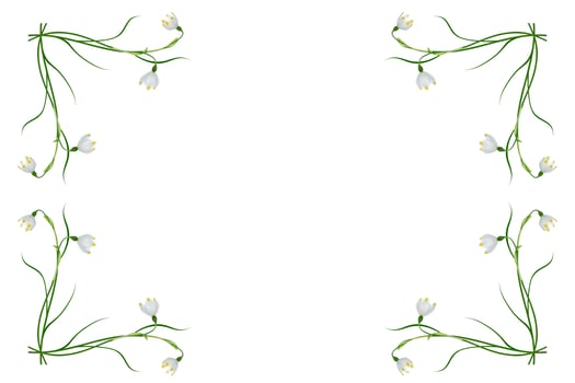 Spring flower snowdrop isolated on white background. photo