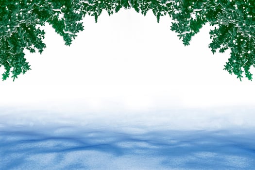 Christmas card with fir branches. photo