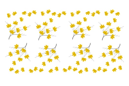 Bright colorful autumn leaves photo