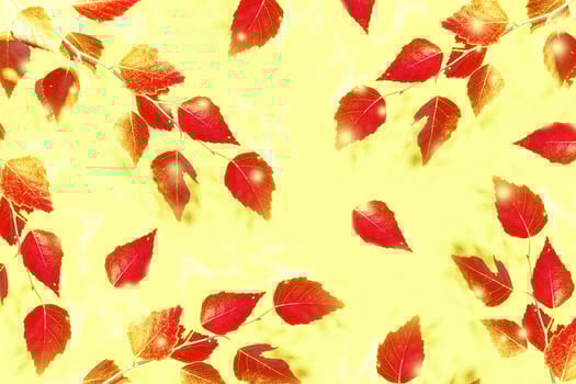 autumn landscape with bright colorful foliage. Indian summer. photo
