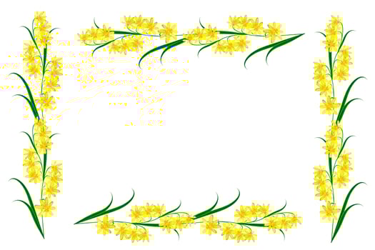 Colorful bright flower buttercup photo